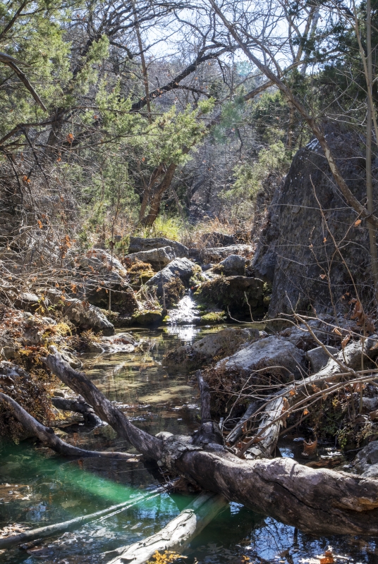 Pedernales Falls Jan 14 2018